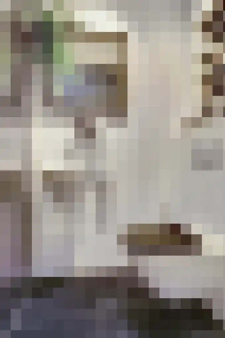 Laan der Continenten 27 Teteringen thumbnail 9