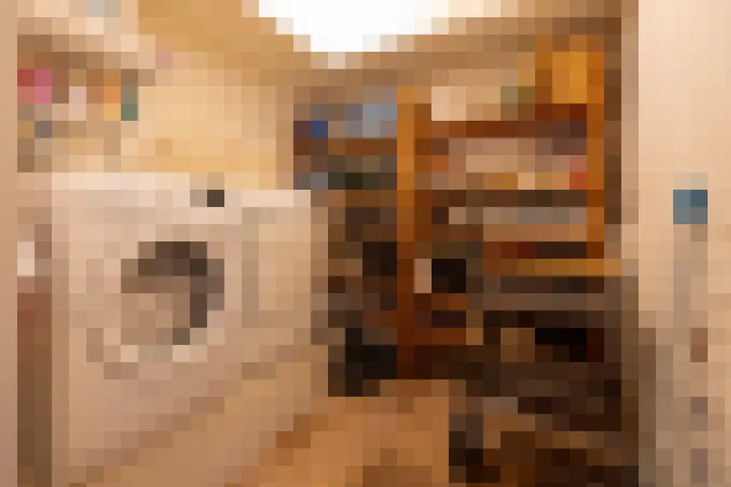 Laan der Continenten 32 Alphen aan den Rijn thumbnail 13