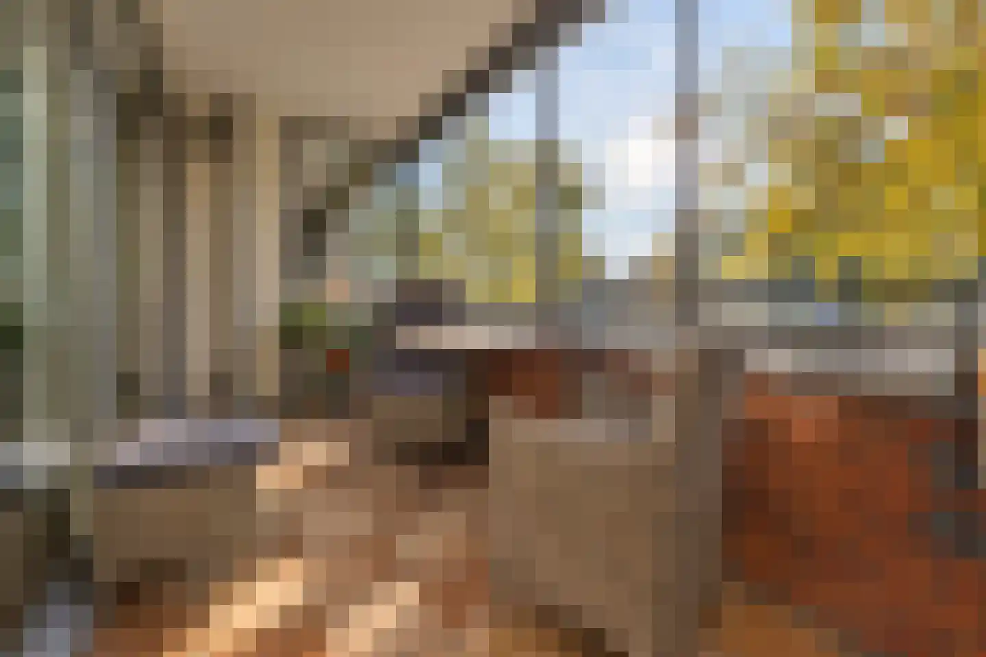 Laan der Continenten 32 Alphen aan den Rijn thumbnail 16