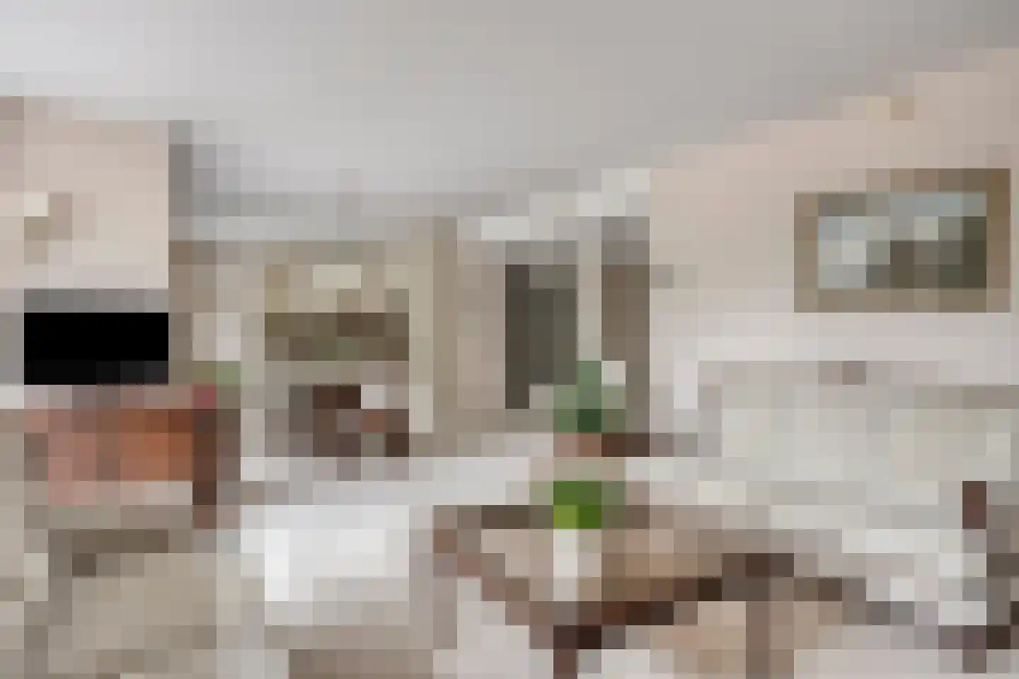 Laan der Continenten 56 Alphen aan den Rijn thumbnail 16