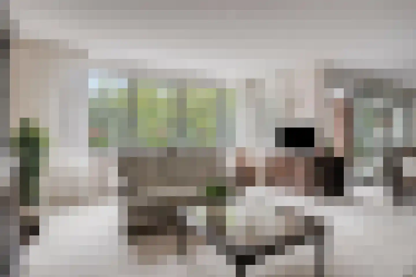 Laan der Continenten 56 Alphen aan den Rijn thumbnail 17