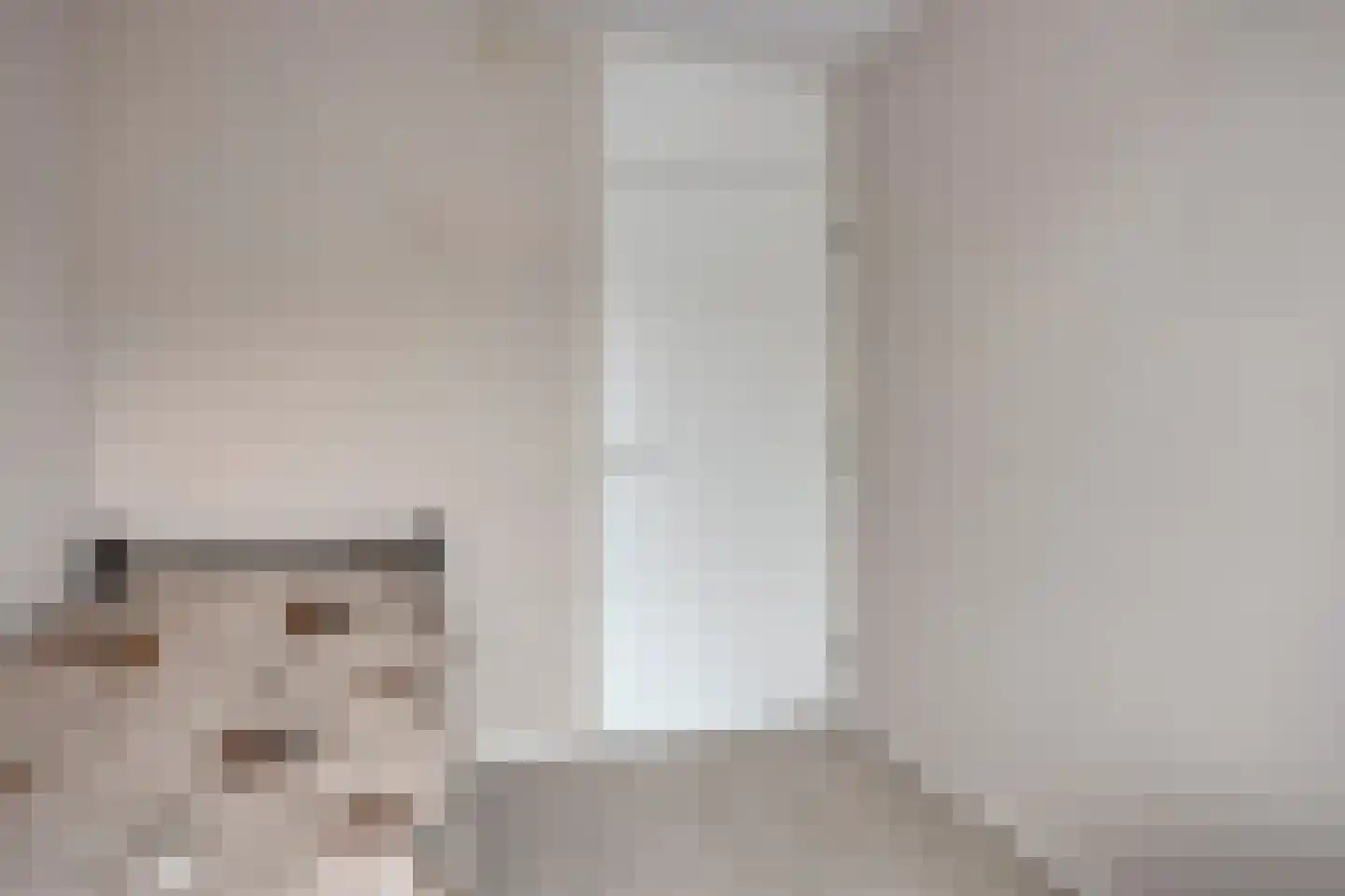 Laan der Continenten 56 Alphen aan den Rijn thumbnail 33