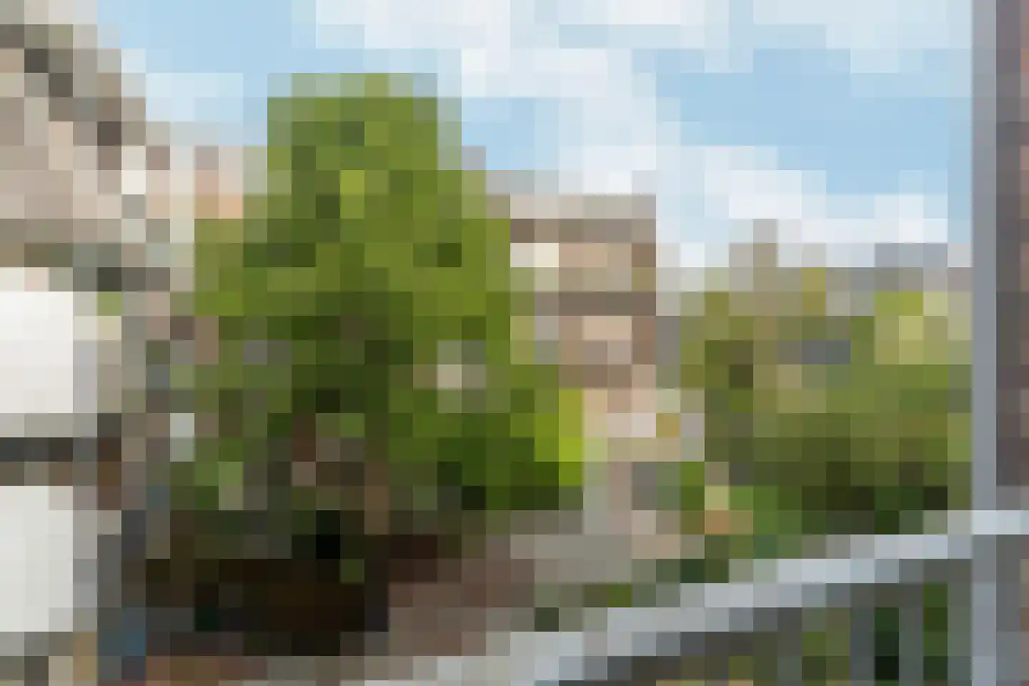 Laan der Hesperiden 14 2 Amsterdam thumbnail 6