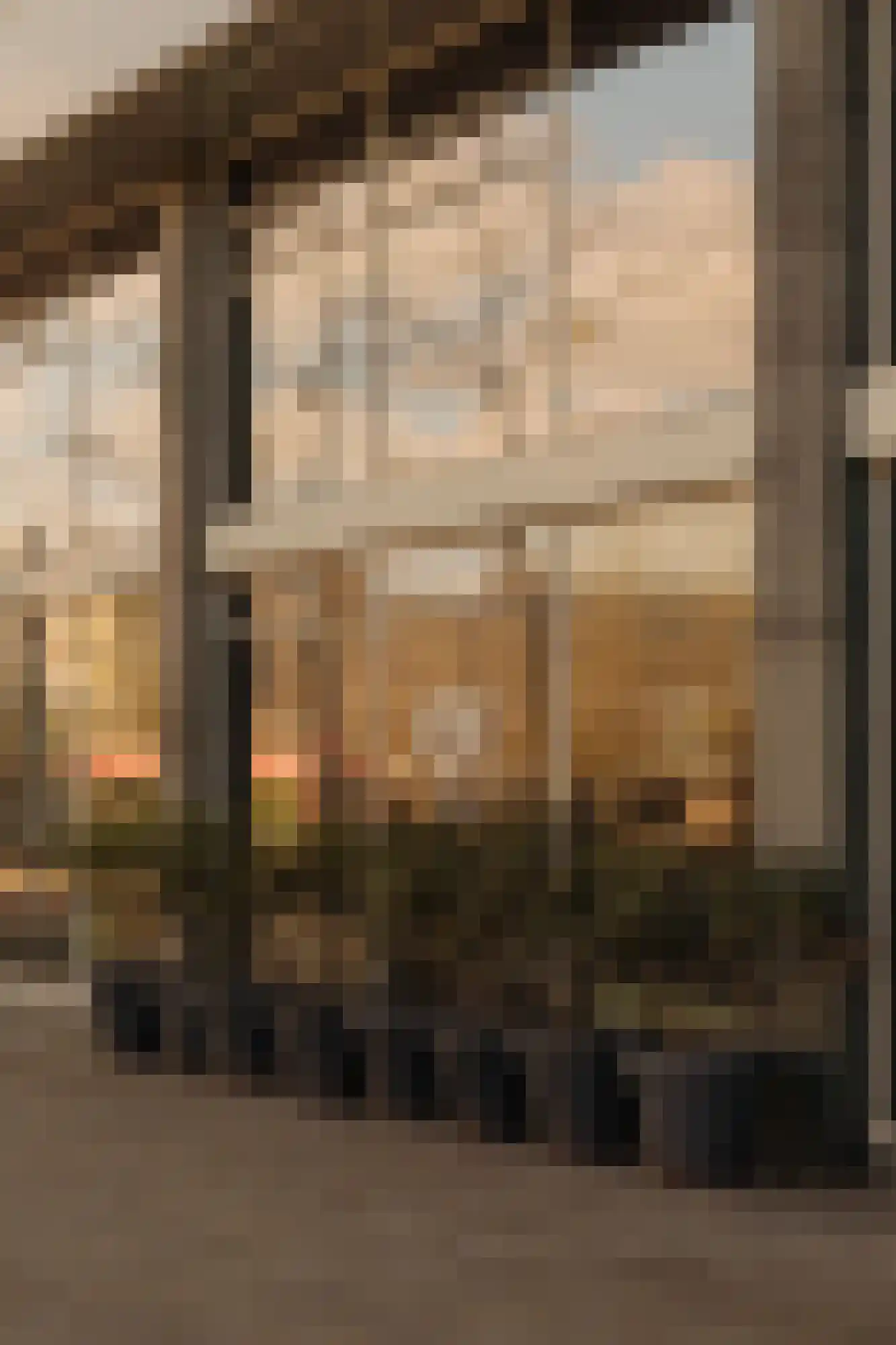 Laan der Hesperiden 16 2 Amsterdam thumbnail 15