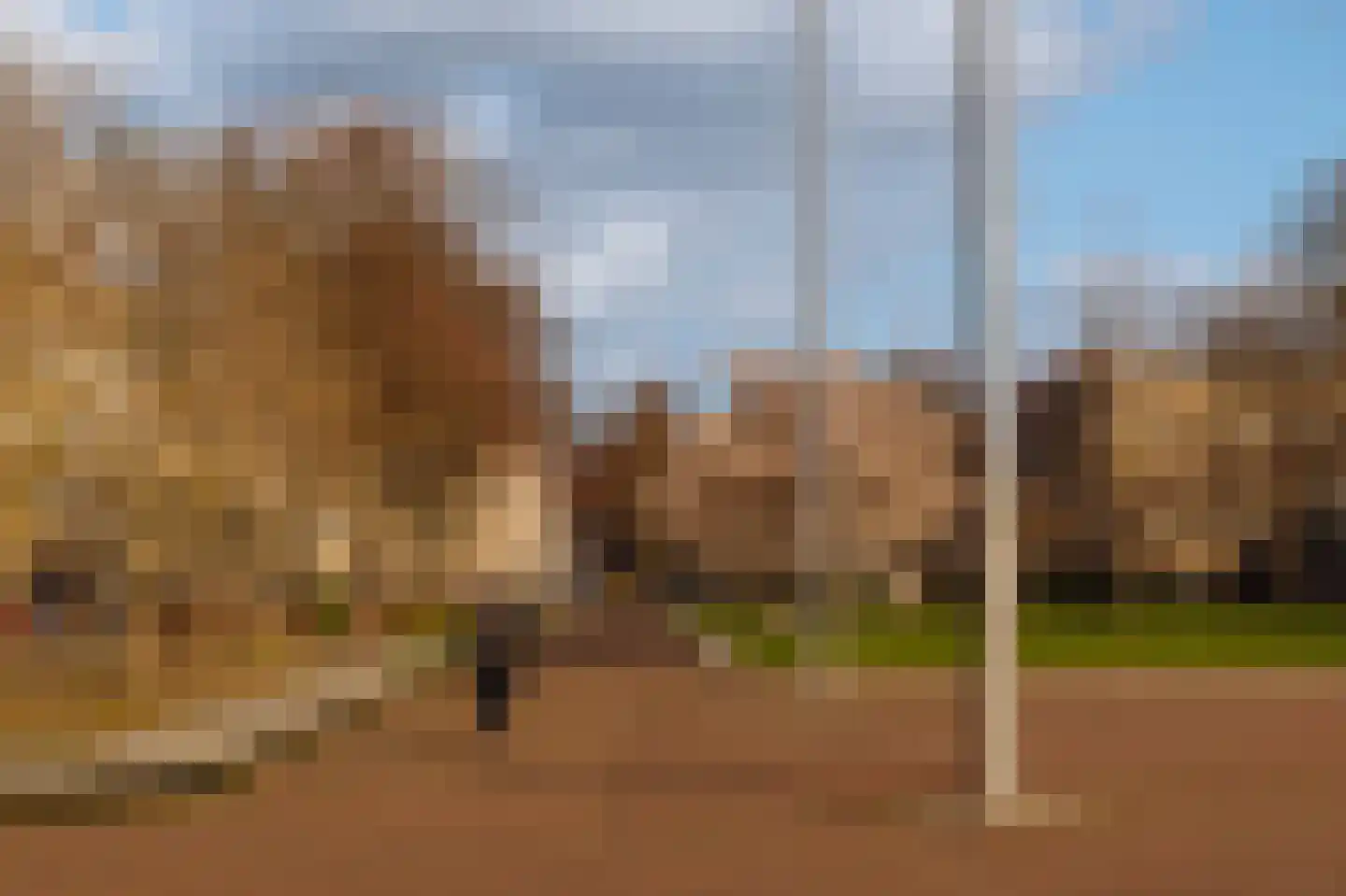 Laan der Hesperiden 16 2 Amsterdam thumbnail 19