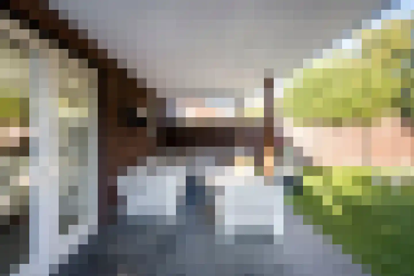 Laan der IJzertijd 6 Oss thumbnail 18