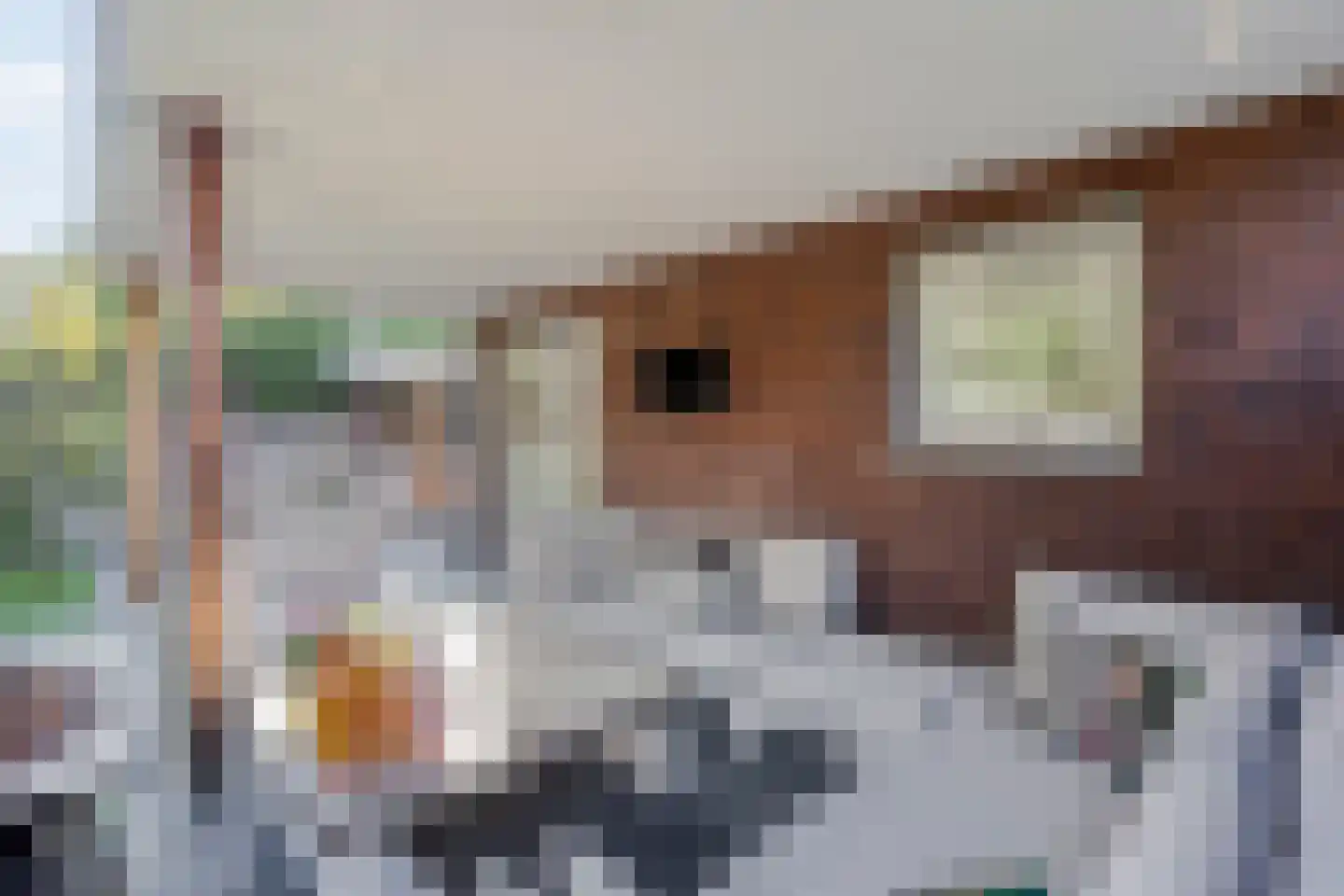 Laan der IJzertijd 6 Oss thumbnail 19