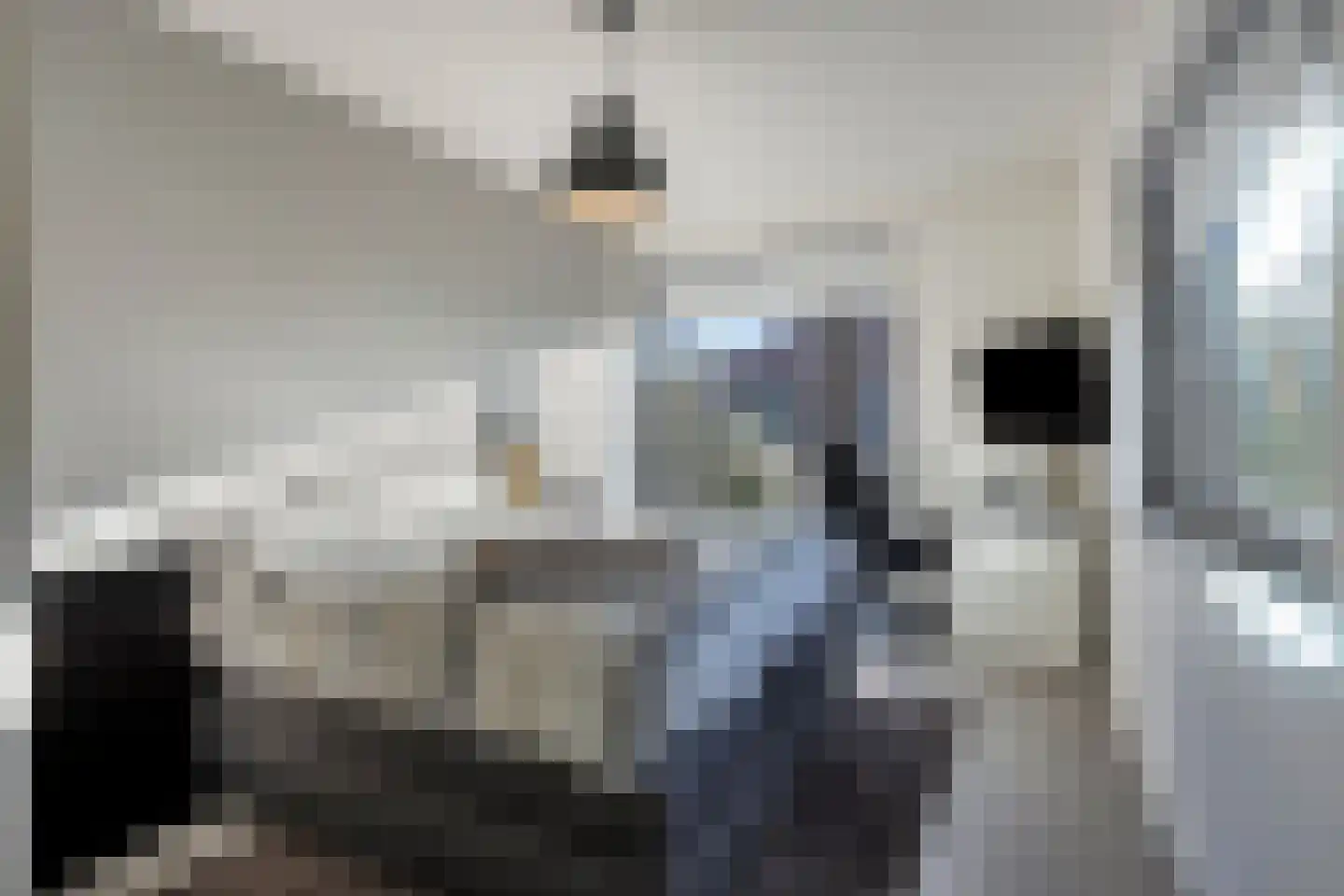 Laan der IJzertijd 6 Oss thumbnail 31
