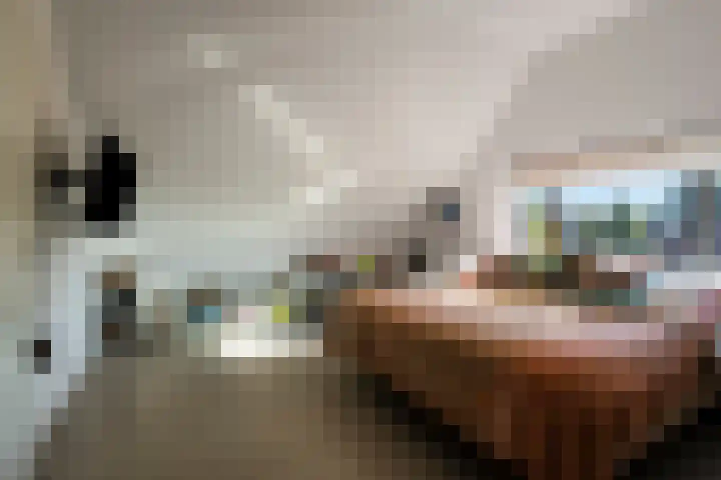 Laan der IJzertijd 6 Oss thumbnail 34