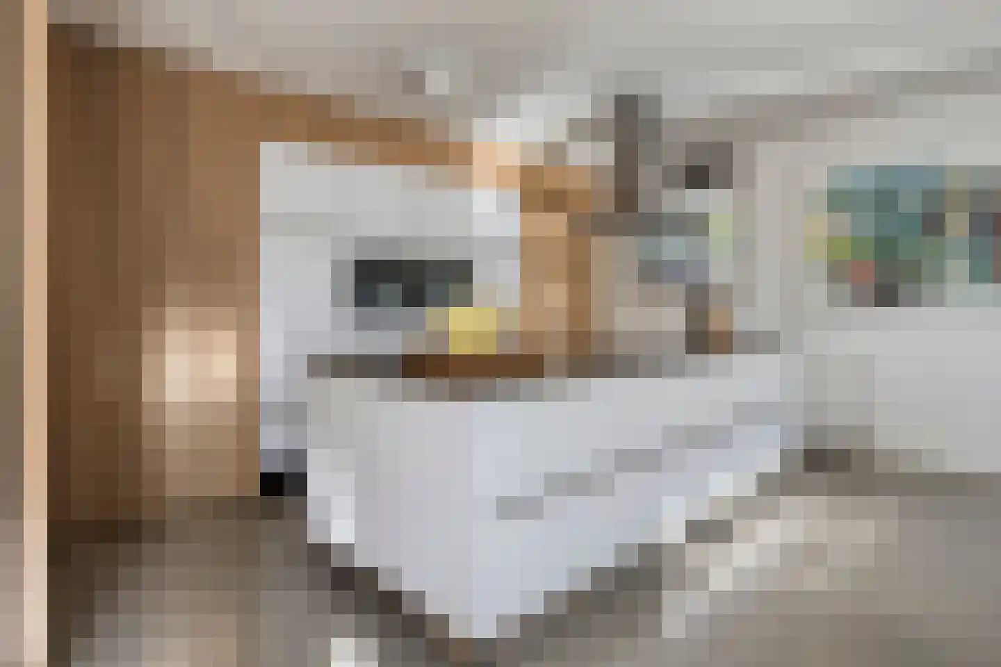 Laan der IJzertijd 6 Oss thumbnail 9