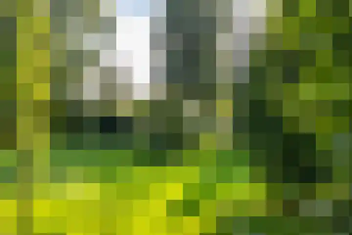 Laan der Kruisheren 10 Harkstede thumbnail 19