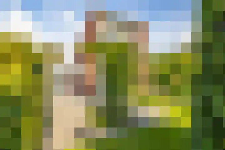 Laan der Kruisheren 10 Harkstede thumbnail 21