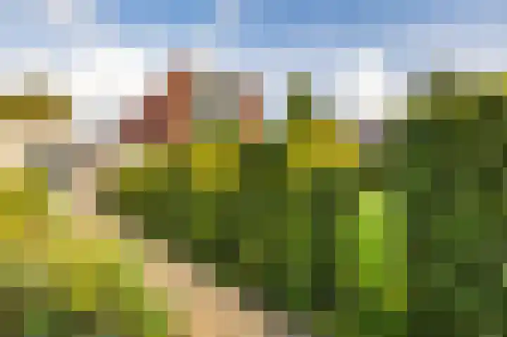 Laan der Kruisheren 10 Harkstede thumbnail 22