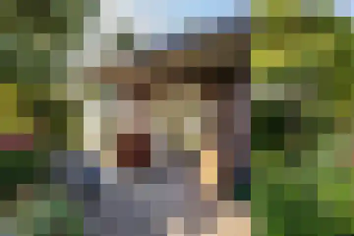 Laan der Kruisheren 10 Harkstede thumbnail 23