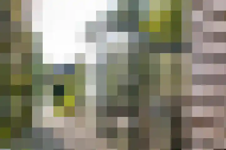 Laan der Kruisheren 10 Harkstede thumbnail 24