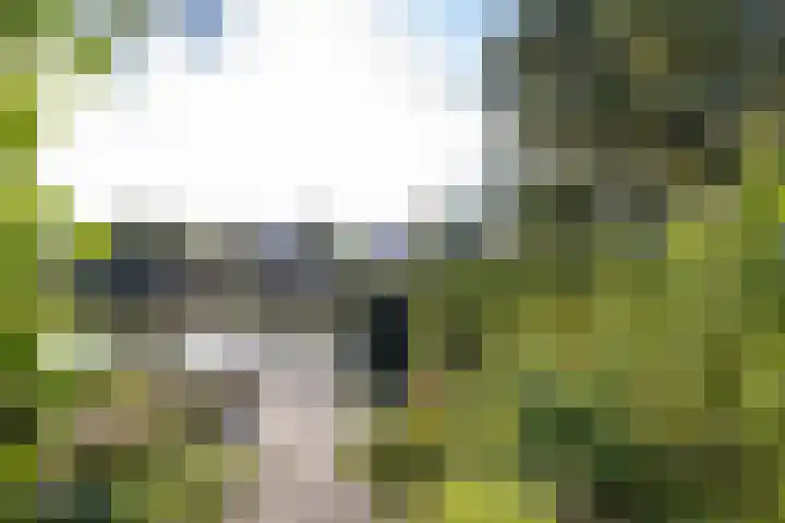 Laan der Kruisheren 10 Harkstede thumbnail 25