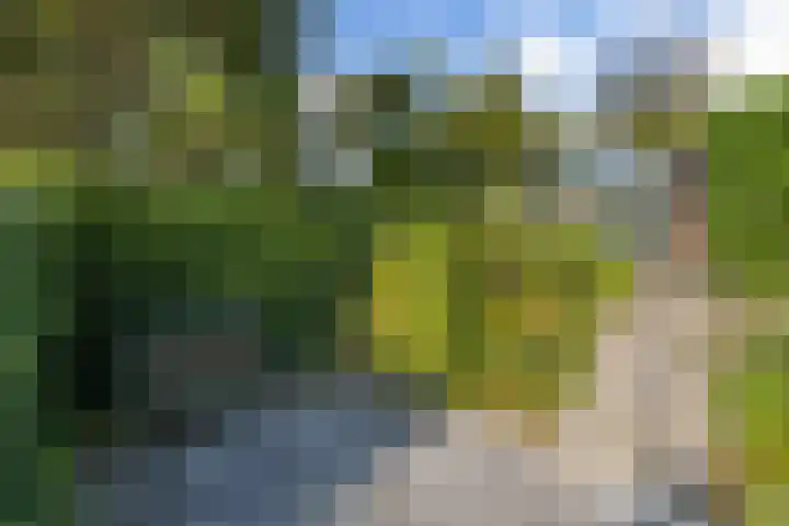Laan der Kruisheren 10 Harkstede thumbnail 27