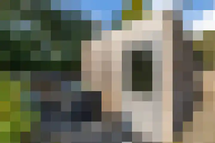 Laan der Kruisheren 10 Harkstede thumbnail 30