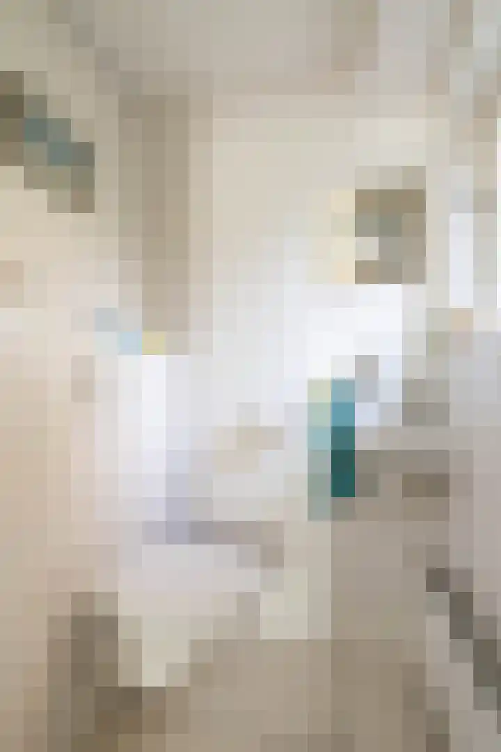Laan der Kruisheren 10 Harkstede thumbnail 32