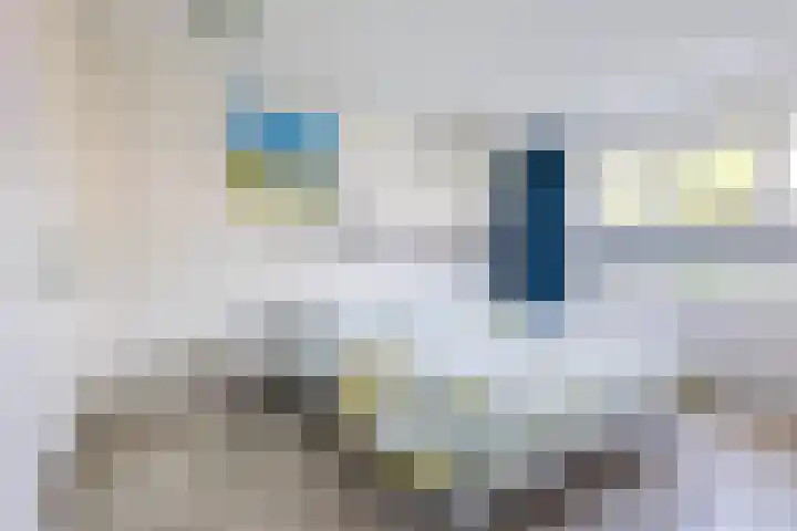Laan der Kruisheren 10 Harkstede thumbnail 33