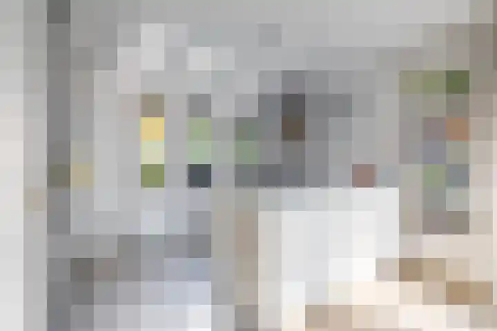 Laan der Kruisheren 10 Harkstede thumbnail 4