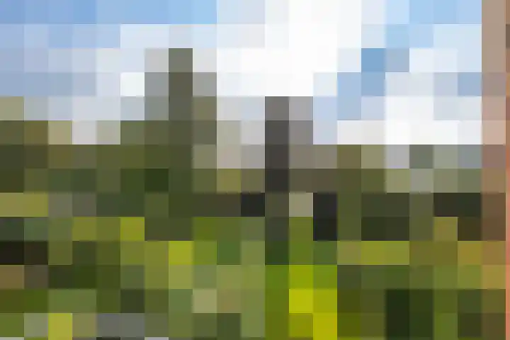 Laan der Kruisheren 10 Harkstede thumbnail 57