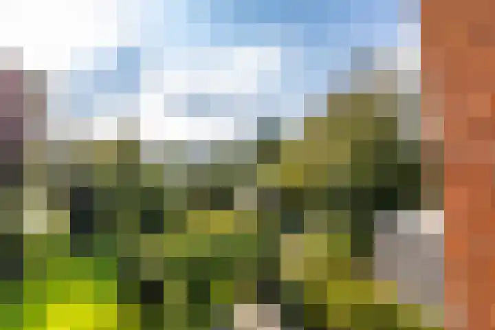 Laan der Kruisheren 10 Harkstede thumbnail 58
