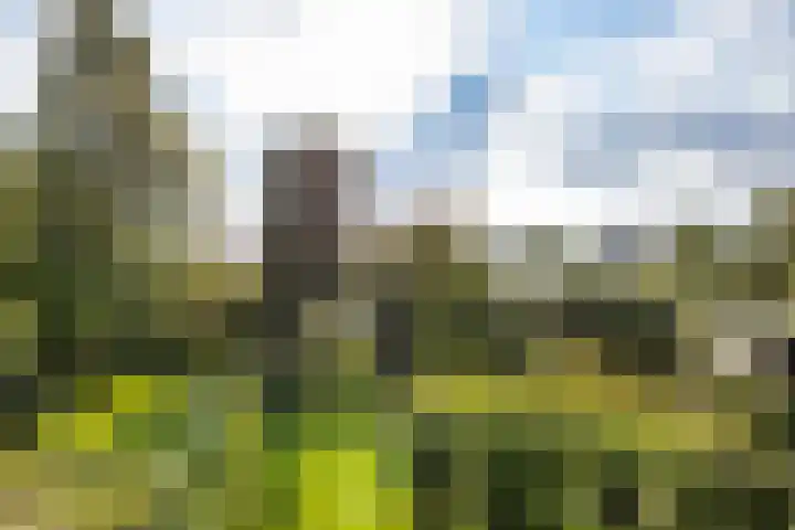 Laan der Kruisheren 10 Harkstede thumbnail 59