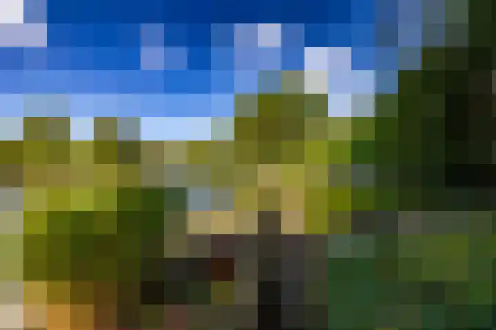 Laan der Kruisheren 10 Harkstede thumbnail 60