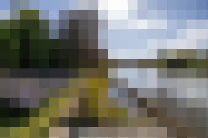 Laan der Kruisheren 10 Harkstede thumbnail 61