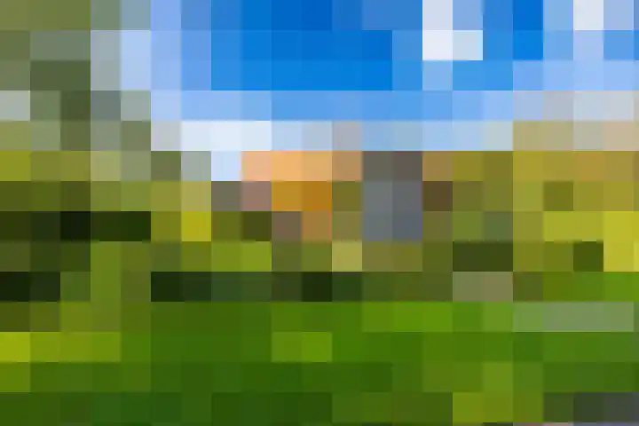 Laan der Kruisheren 10 Harkstede thumbnail 63