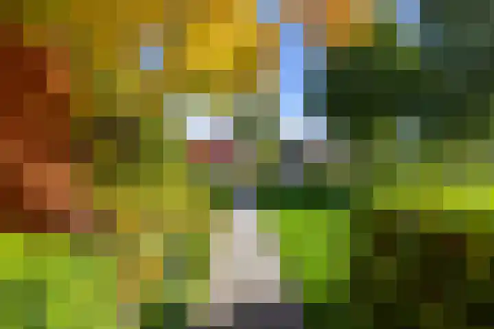 Laan der Kruisheren 10 Harkstede thumbnail 64