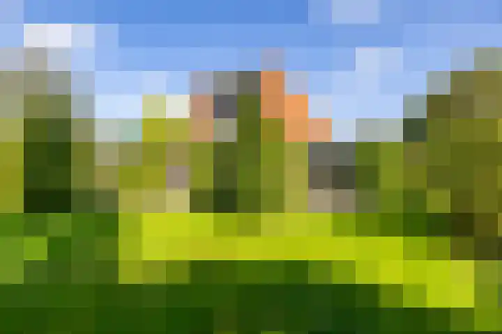 Laan der Kruisheren 10 Harkstede thumbnail 66