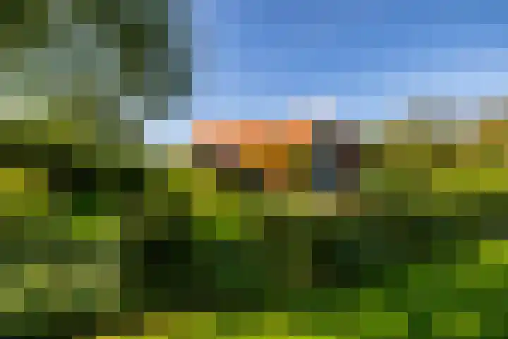 Laan der Kruisheren 10 Harkstede thumbnail 69