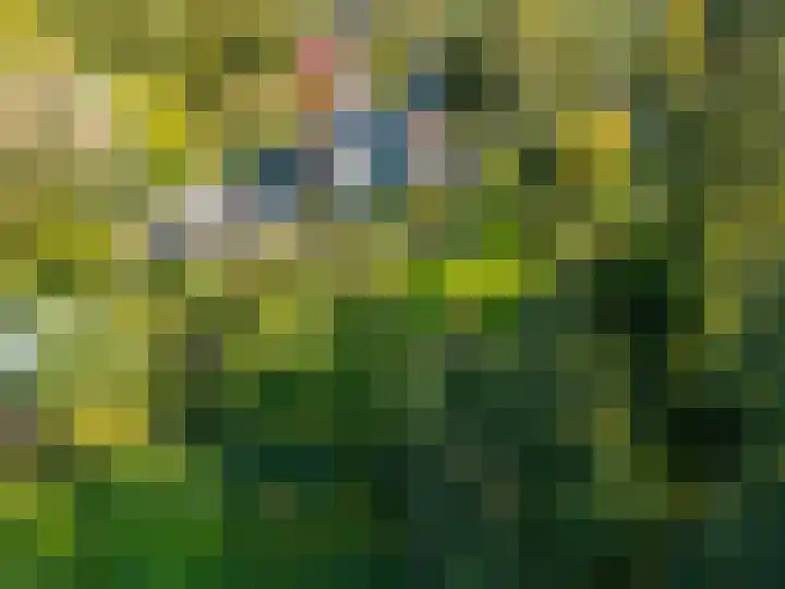 Laan der Kruisheren 10 Harkstede thumbnail 70