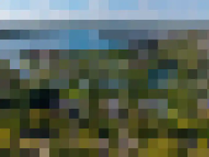Laan der Kruisheren 10 Harkstede thumbnail 71
