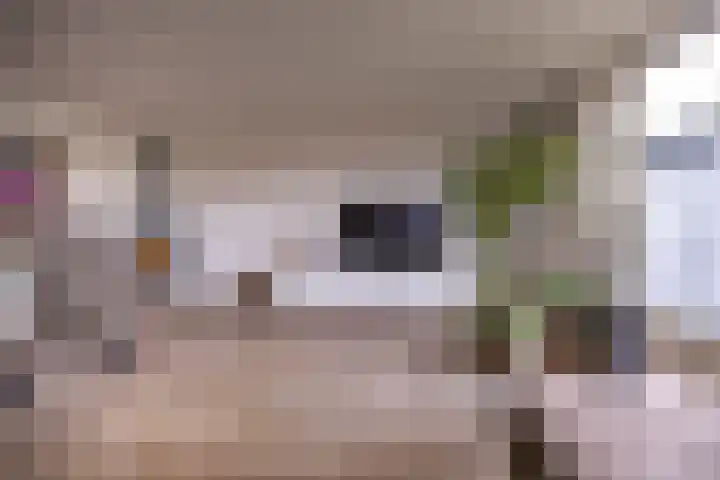 Laan der Kruisheren 119 Harkstede thumbnail 13