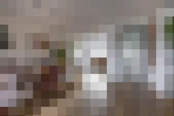 Laan der Kruisheren 119 Harkstede thumbnail 16