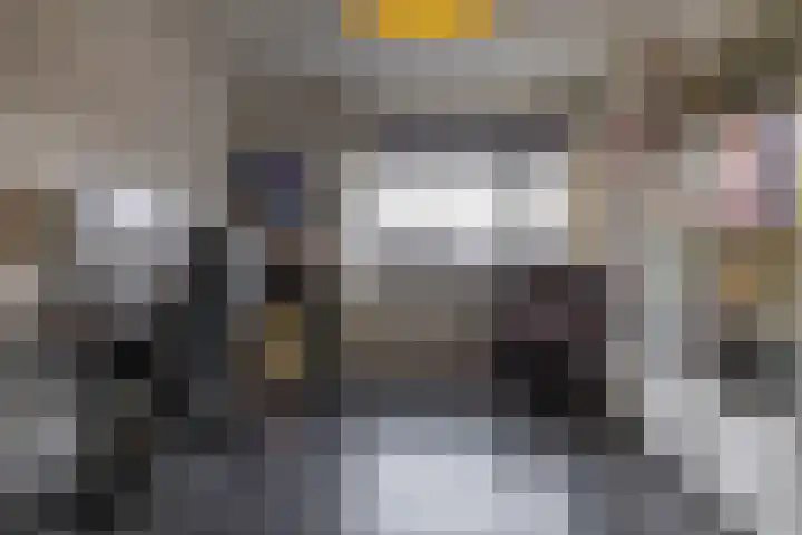 Laan der Kruisheren 119 Harkstede thumbnail 33
