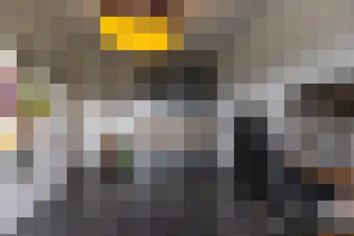 Laan der Kruisheren 119 Harkstede thumbnail 34