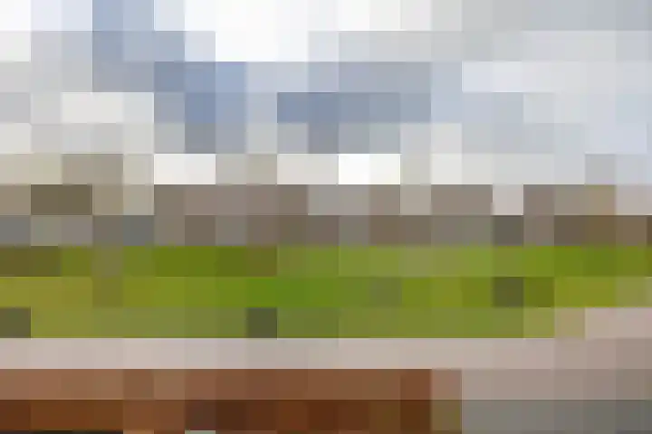 Laan der Kruisheren 119 Harkstede thumbnail 35