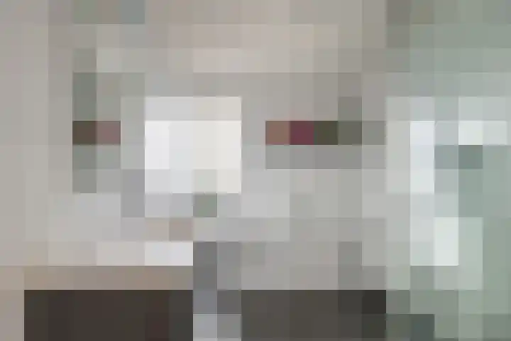 Laan der Kruisheren 119 Harkstede thumbnail 36