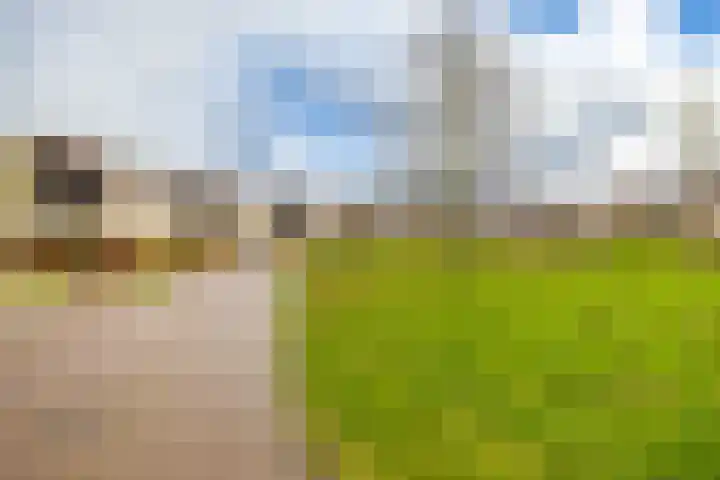 Laan der Kruisheren 119 Harkstede thumbnail 4