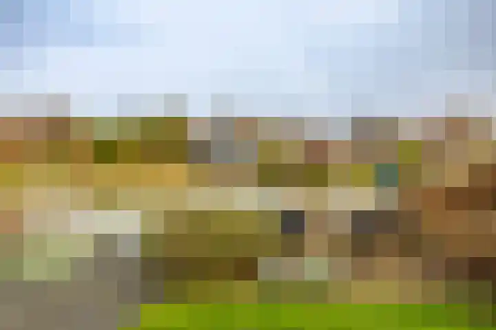 Laan der Kruisheren 119 Harkstede thumbnail 49