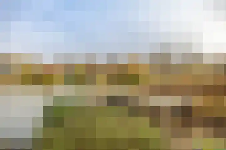 Laan der Kruisheren 119 Harkstede thumbnail 50