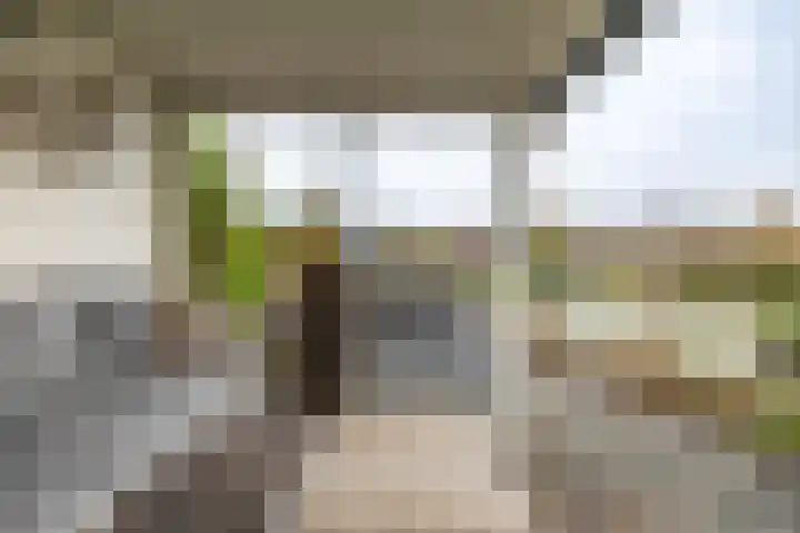 Laan der Kruisheren 119 Harkstede thumbnail 52