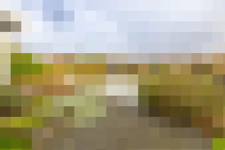 Laan der Kruisheren 119 Harkstede thumbnail 55