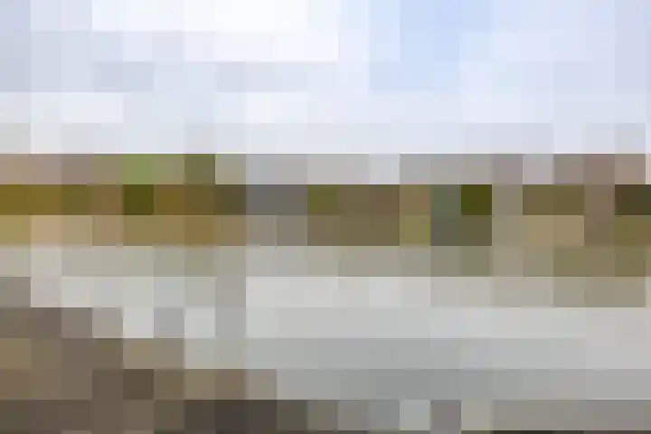 Laan der Kruisheren 119 Harkstede thumbnail 56