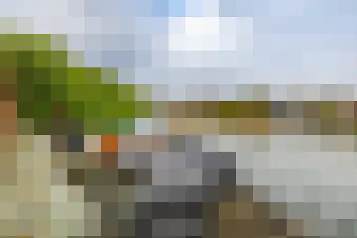 Laan der Kruisheren 119 Harkstede thumbnail 57