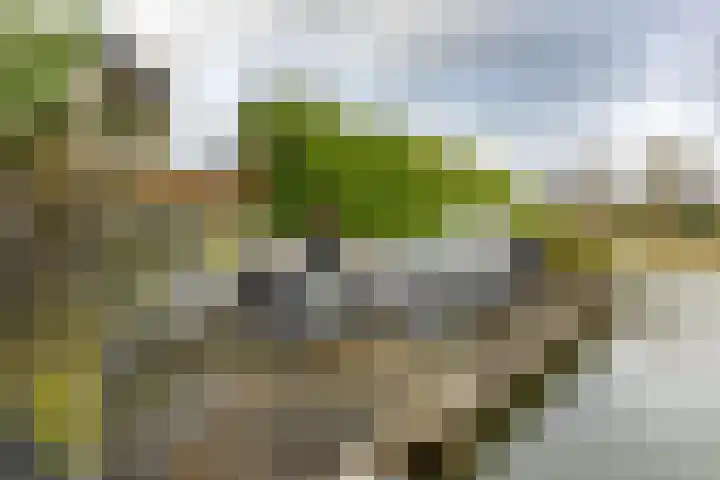 Laan der Kruisheren 119 Harkstede thumbnail 58
